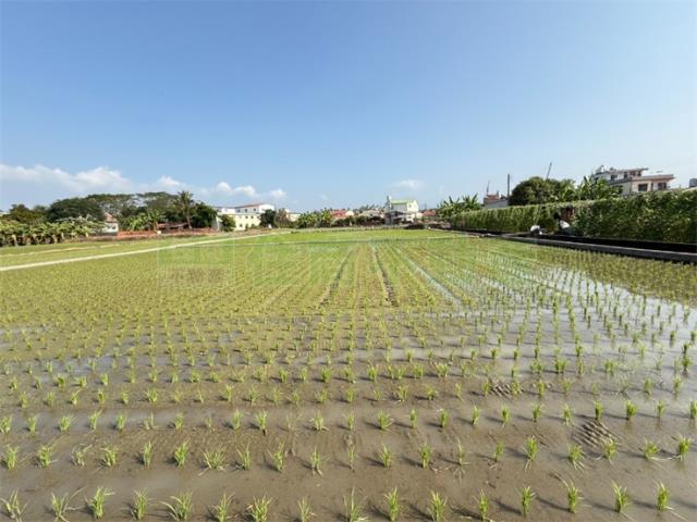 美濃農地_建地-4