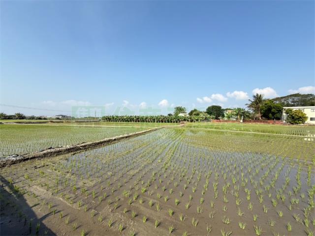 美濃農地_建地-8