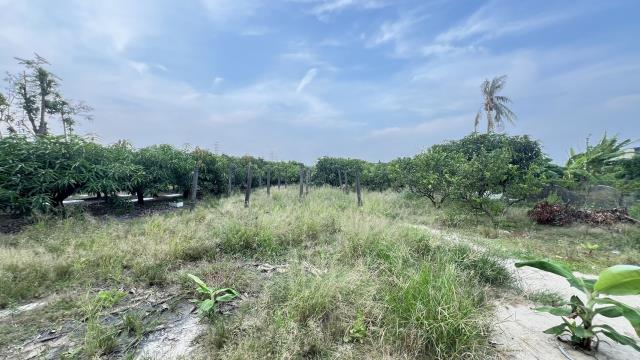 岡山農地-6
