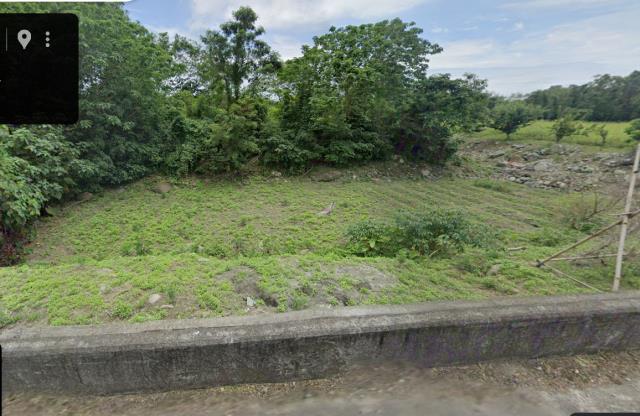 花蓮秀林法拍農地_原住民保留地-8