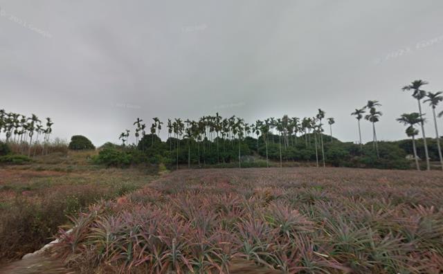 彰化芬園法拍農地-13