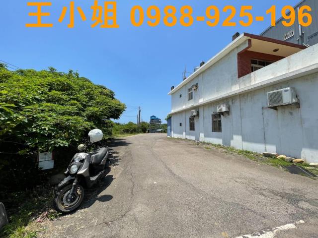 大園農地-3