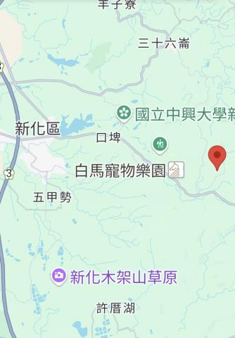 台南新化農地_林地-11