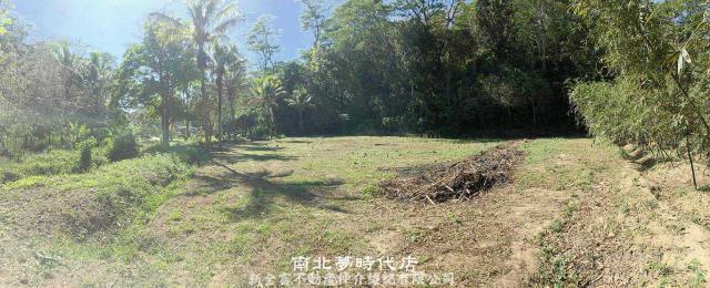 台南新化農地_林地-2
