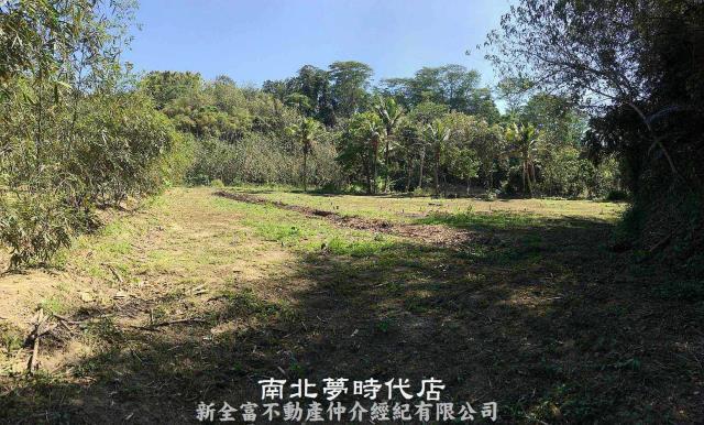 台南新化農地_林地-3