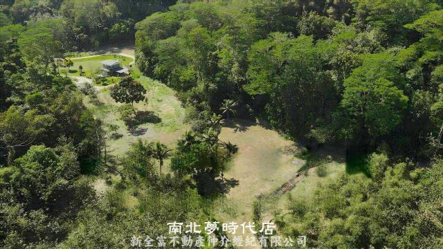 台南新化農地_林地-6