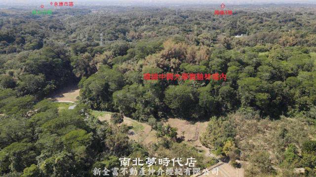 台南新化農地_林地-7