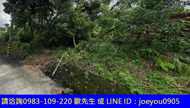 高雄大樹農地法拍-5