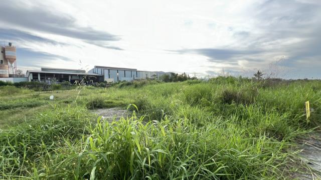 岡山農地-2