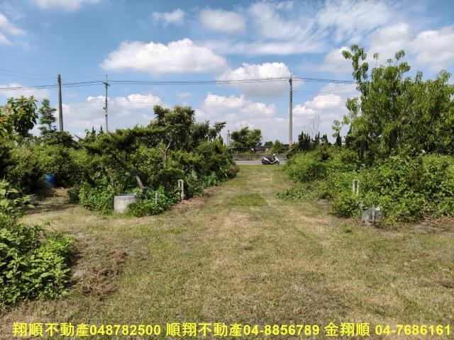 溪州農地-1