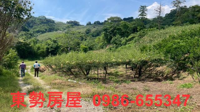 苗栗農地_休閒地-11