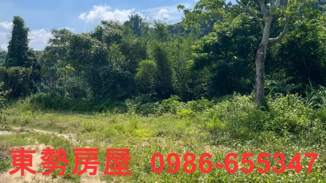 苗栗農地_休閒地-14