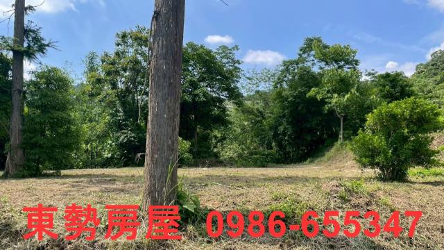 苗栗農地_休閒地-15