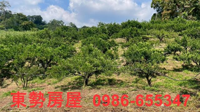 苗栗農地_休閒地-2