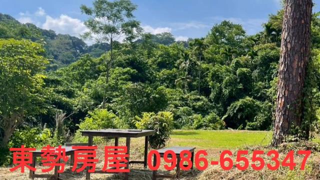 苗栗農地_休閒地-3