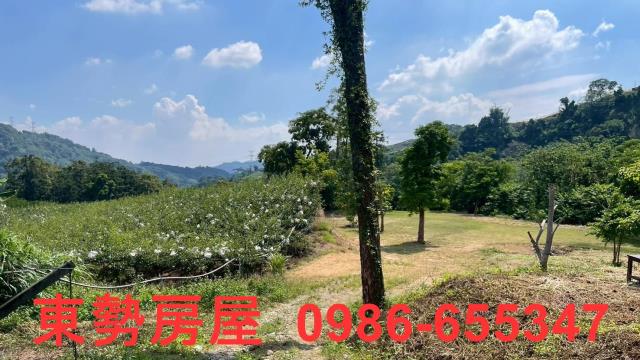苗栗農地_休閒地-6