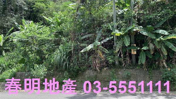 新竹林地-4