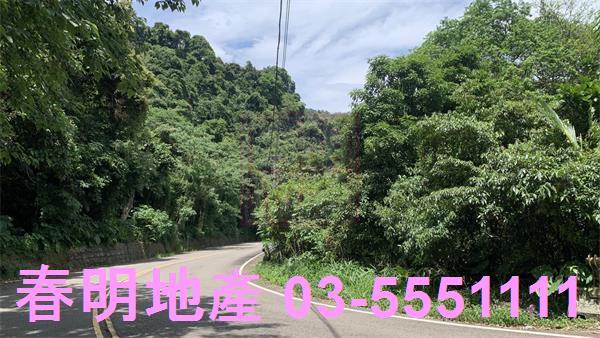 新竹林地-7