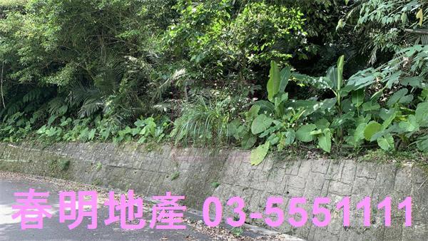 新竹林地-8