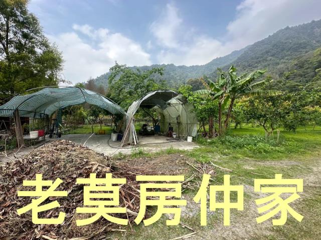 南投水里農地_休閒地-10