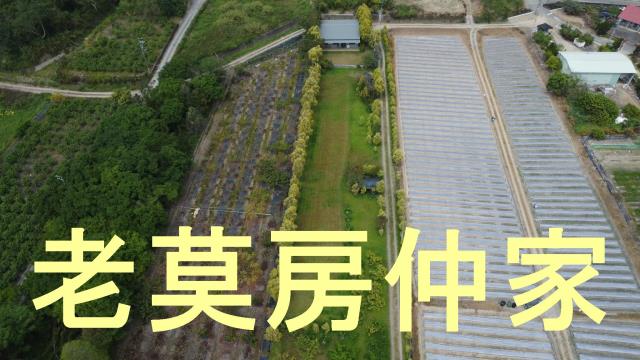 南投水里農地_休閒地-14