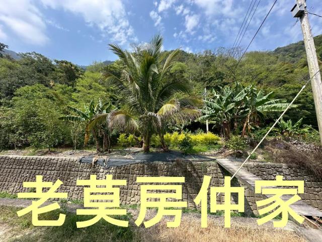 南投水里農地_休閒地-1
