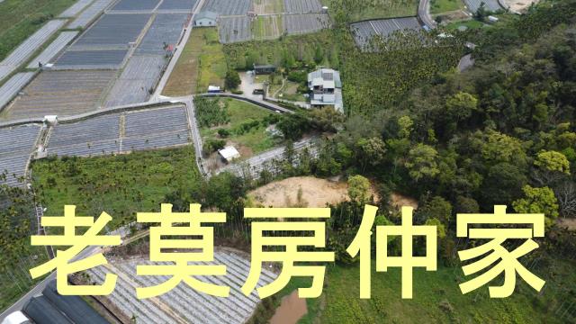 魚池農地_山坡地_林地-10