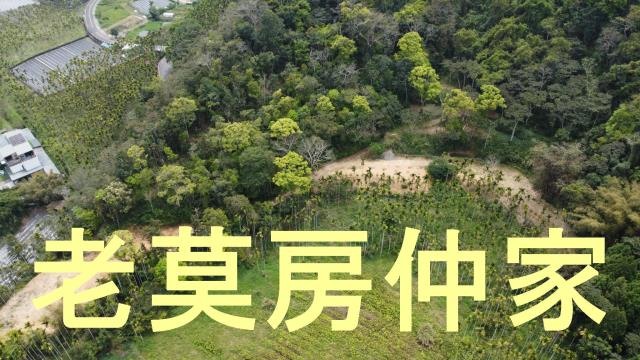 魚池農地_山坡地_林地-11