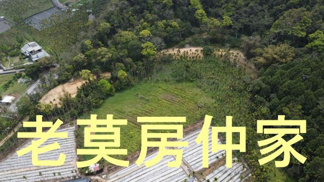 魚池農地_山坡地_林地-12
