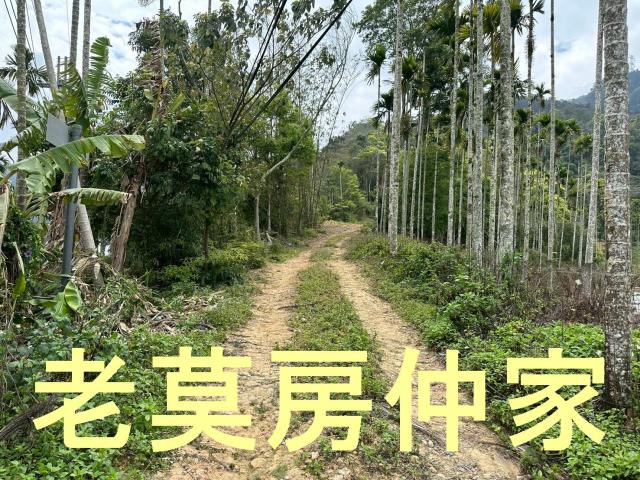 魚池農地_山坡地_林地-8
