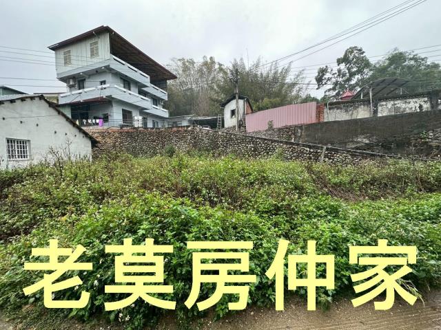 埔里建地_山坡地_住宅地-4
