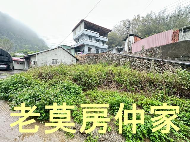 埔里建地_山坡地_住宅地-5