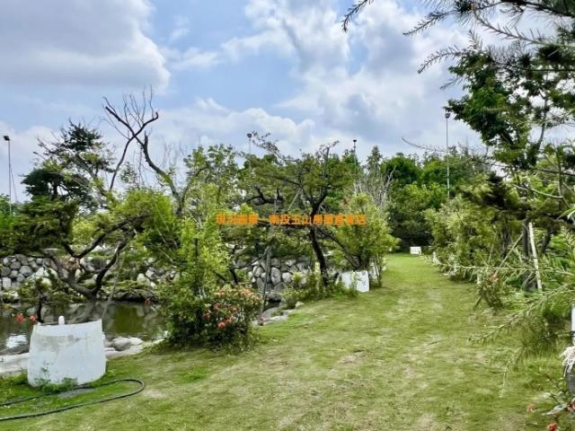南投農地_休閒地-7
