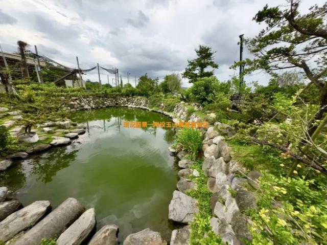 南投農地_休閒地-9