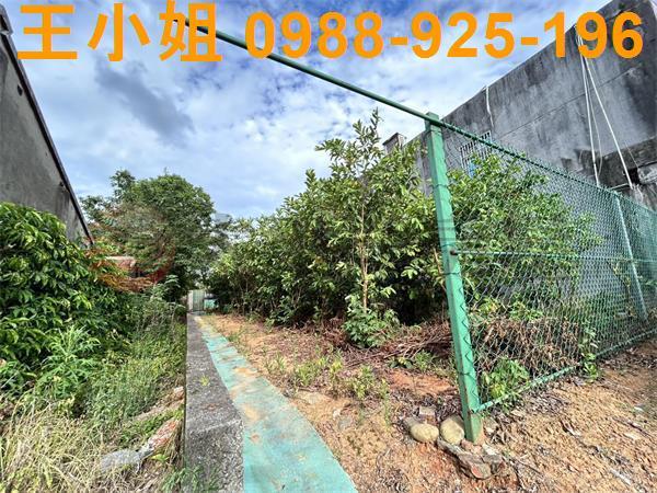 桃園大園農地-4