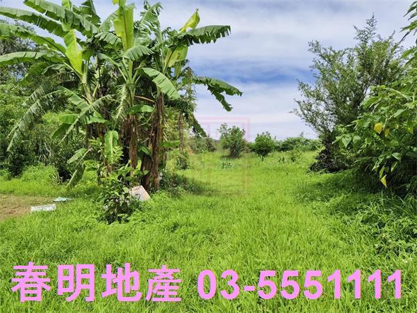 新竹農地-1