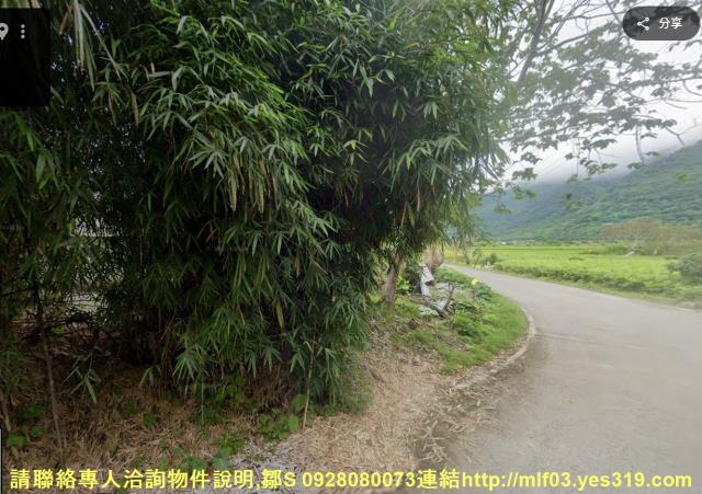 花蓮新城農地_原住民保留地法拍-5