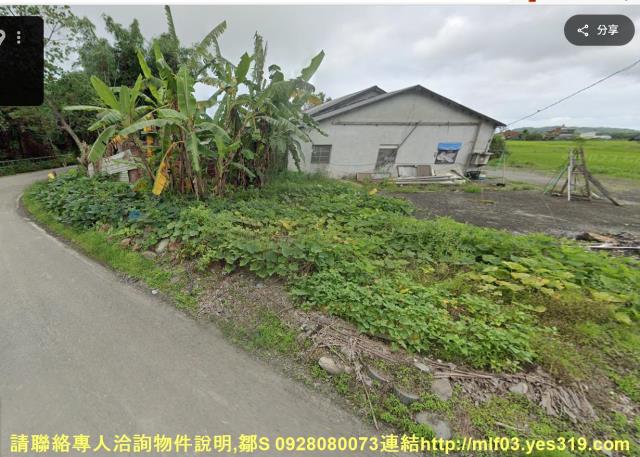花蓮新城農地_原住民保留地法拍-8