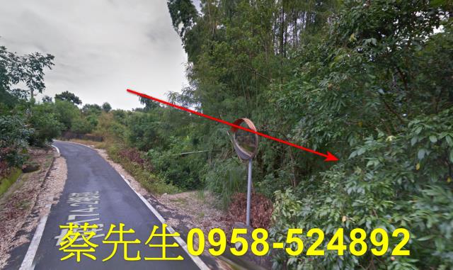 南化拍賣農地-14