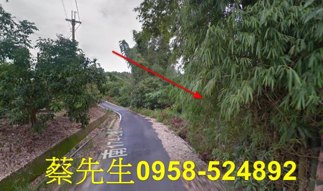 南化拍賣農地-15