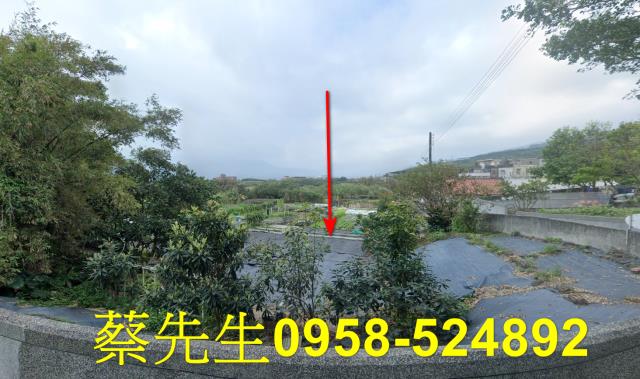 新北法拍農地-9