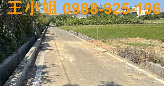 桃園新屋農地-2