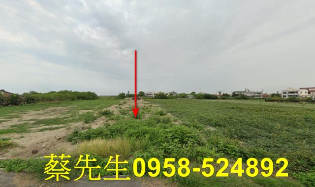 將軍法拍農地-9