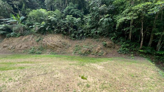 關西農地_建地_山坡地-10