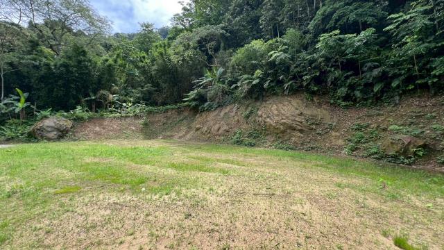 關西農地_建地_山坡地-11