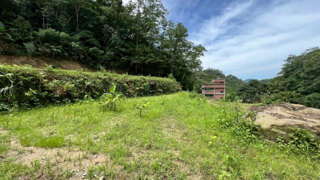 關西農地_建地_山坡地-12