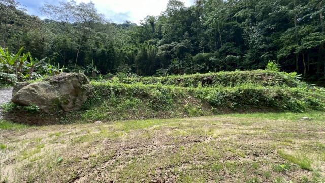 關西農地_建地_山坡地-13
