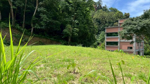 關西農地_建地_山坡地-2