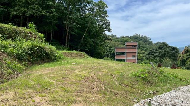 關西農地_建地_山坡地-4