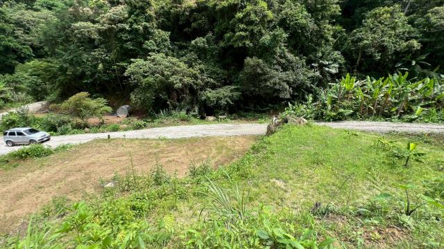 關西農地_建地_山坡地-7